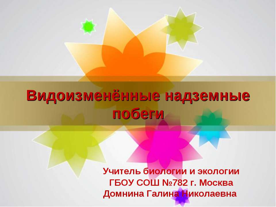 Видоизменённые надземные побеги - Скачать презентации бесплатно | Читать или скачать учебники для школы онлайн бесплатно ☑ Школьные учебники school-textbook.com