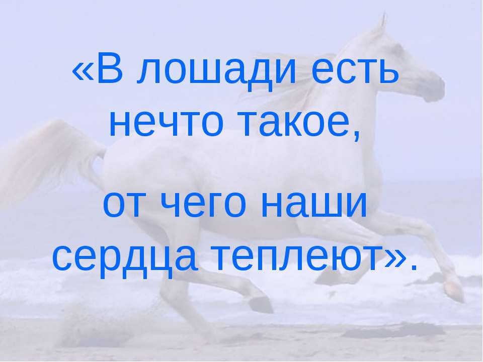 Лошади - Скачать презентации бесплатно | Читать или скачать учебники для школы онлайн бесплатно ☑ Школьные учебники school-textbook.com