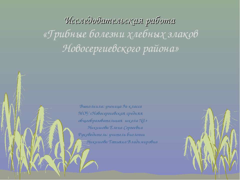 Грибные болезни хлебных злаков Новосергиевского района  - Скачать презентации бесплатно | Читать или скачать учебники для школы онлайн бесплатно ☑ Школьные учебники school-textbook.com