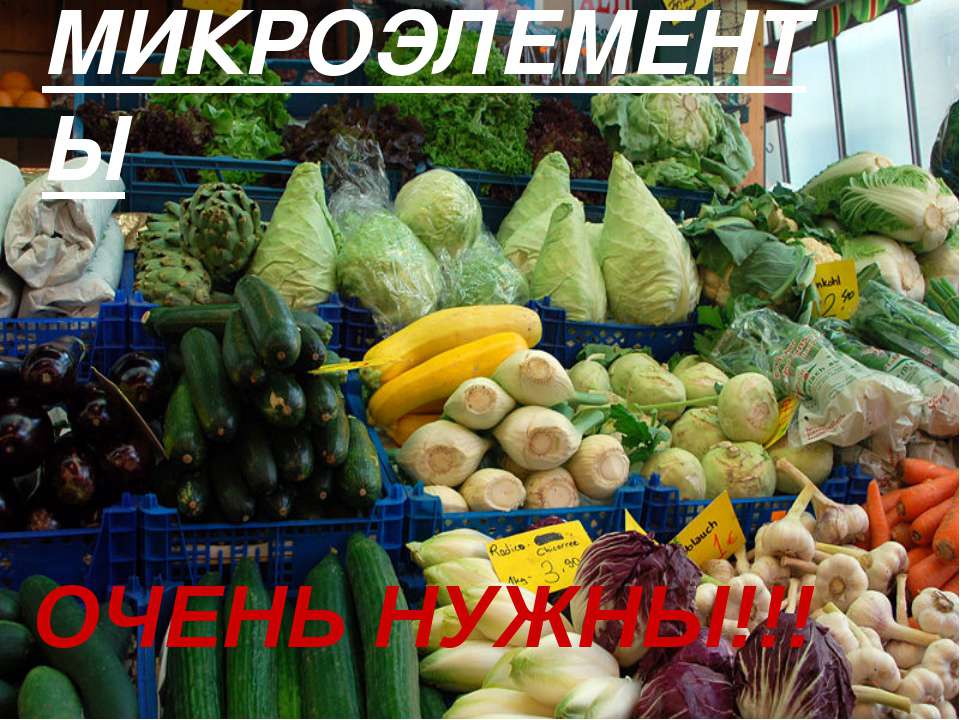 Микроэлементы - Скачать презентации бесплатно | Читать или скачать учебники для школы онлайн бесплатно ☑ Школьные учебники school-textbook.com