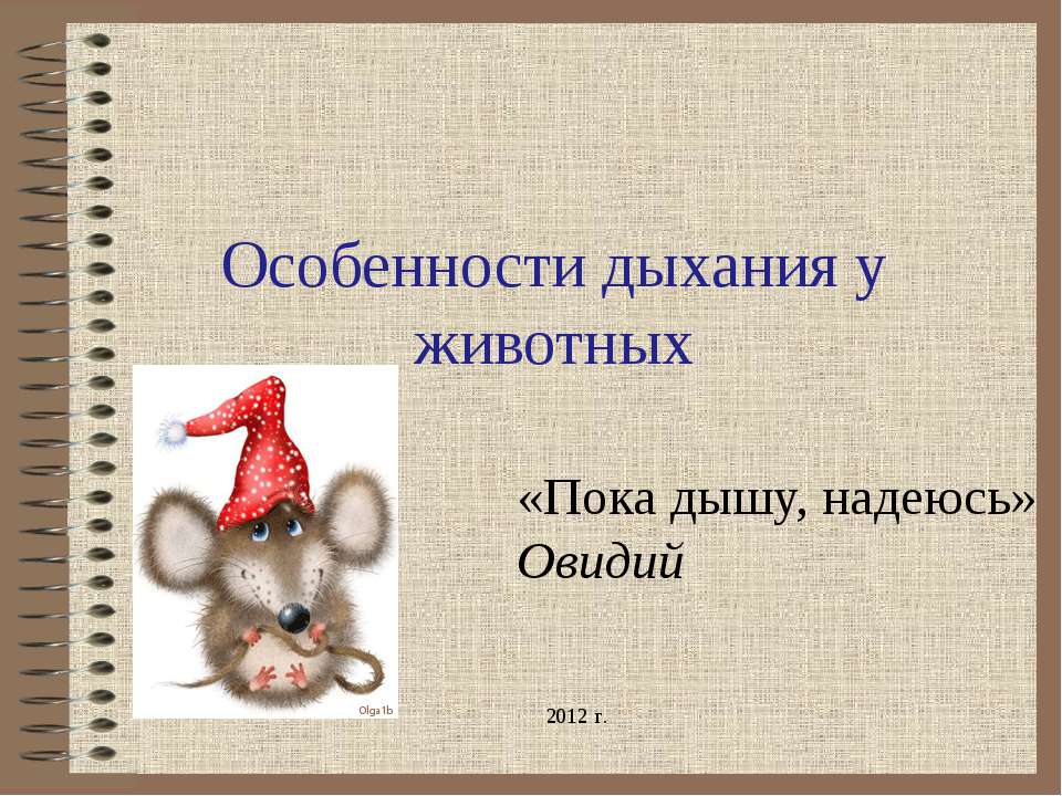 Особенности дыхания у животных - Скачать презентации бесплатно | Читать или скачать учебники для школы онлайн бесплатно ☑ Школьные учебники school-textbook.com