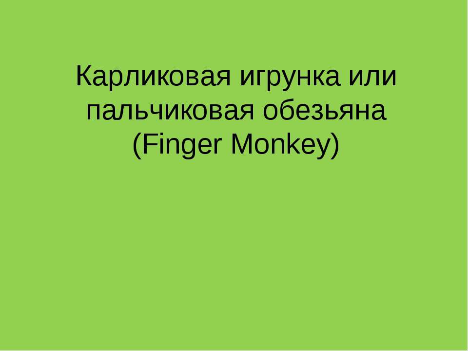 Карликовая игрунка или пальчиковая обезьяна (Finger Monkey)  - Скачать презентации бесплатно | Читать или скачать учебники для школы онлайн бесплатно ☑ Школьные учебники school-textbook.com