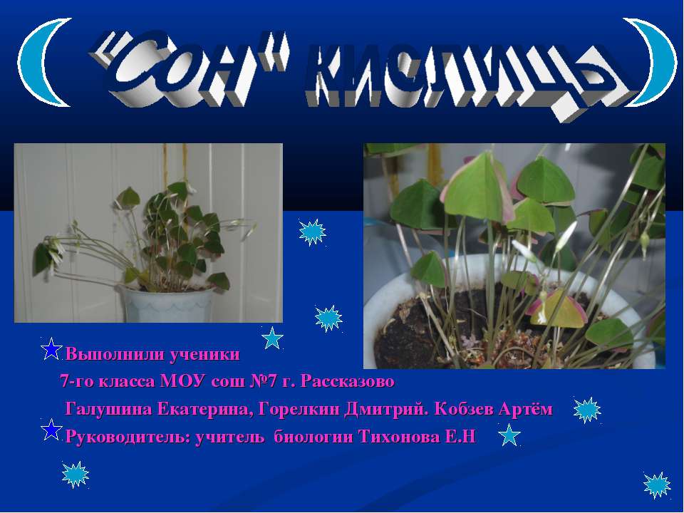 "Сон" кислицы - Скачать презентации бесплатно | Читать или скачать учебники для школы онлайн бесплатно ☑ Школьные учебники school-textbook.com