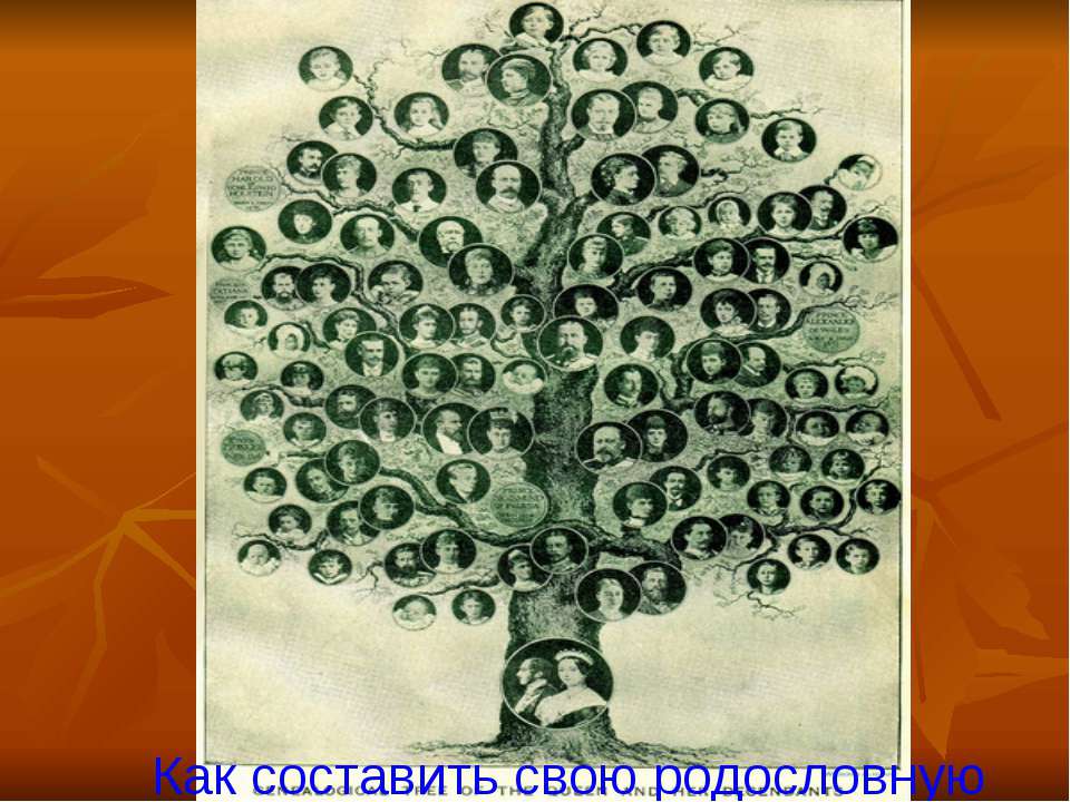 Как составить родословную - Скачать презентации бесплатно | Читать или скачать учебники для школы онлайн бесплатно ☑ Школьные учебники school-textbook.com