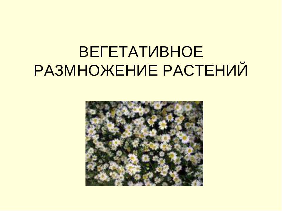 Вегетативное размножение растений - Скачать презентации бесплатно | Читать или скачать учебники для школы онлайн бесплатно ☑ Школьные учебники school-textbook.com