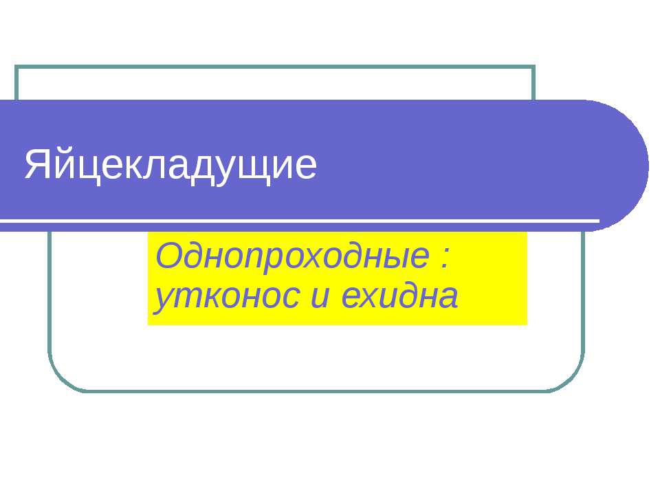 Яйцекладущие - Скачать презентации бесплатно | Читать или скачать учебники для школы онлайн бесплатно ☑ Школьные учебники school-textbook.com