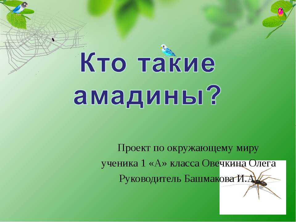 Кто такие амадины? - Скачать презентации бесплатно | Читать или скачать учебники для школы онлайн бесплатно ☑ Школьные учебники school-textbook.com