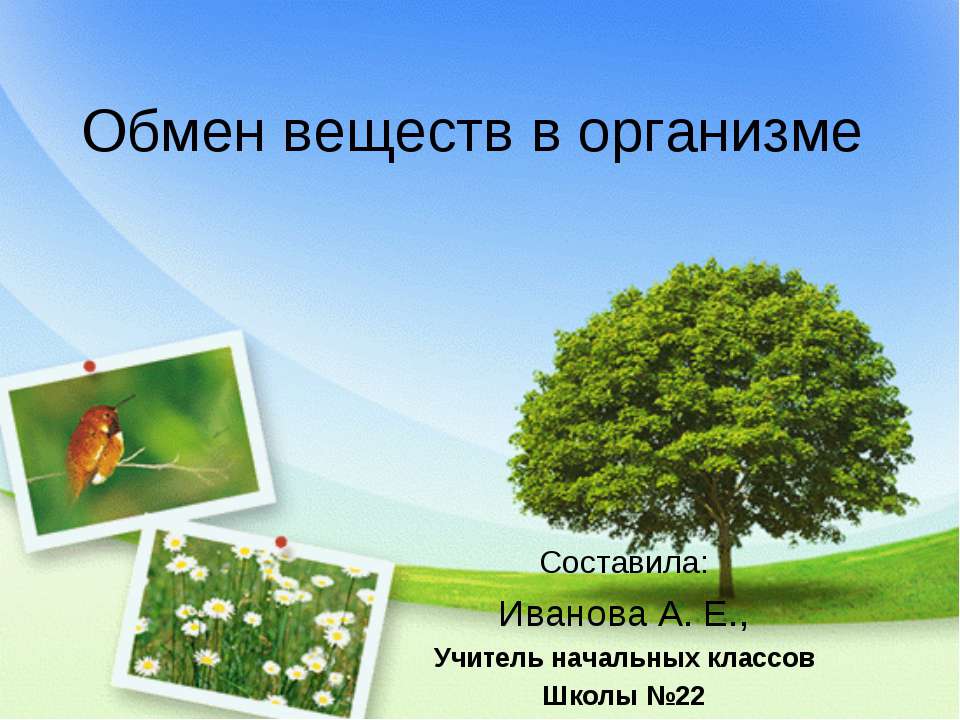 Обмен веществ в организме - Скачать презентации бесплатно | Читать или скачать учебники для школы онлайн бесплатно ☑ Школьные учебники school-textbook.com