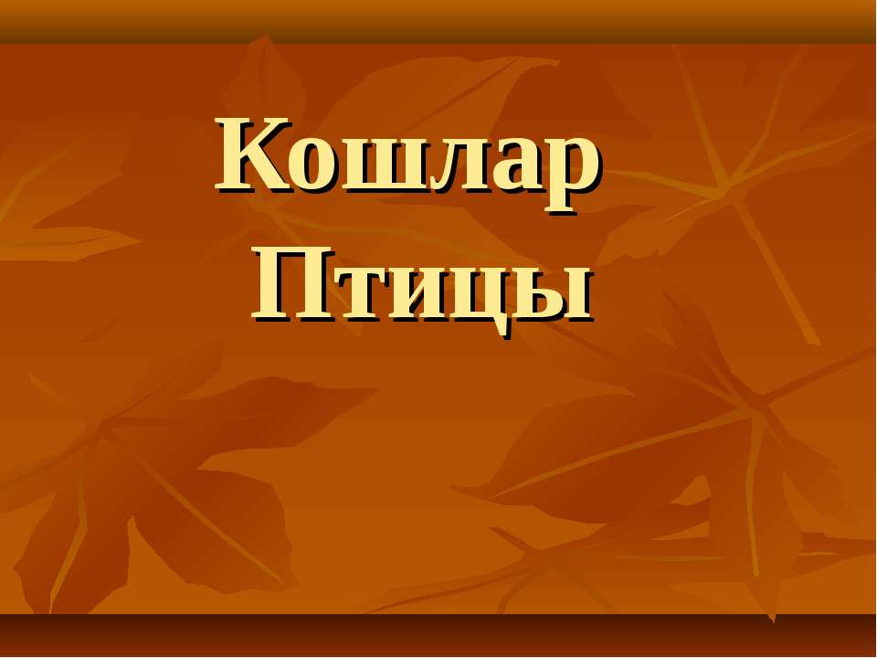 Кошлар Птицы - Скачать презентации бесплатно | Читать или скачать учебники для школы онлайн бесплатно ☑ Школьные учебники school-textbook.com