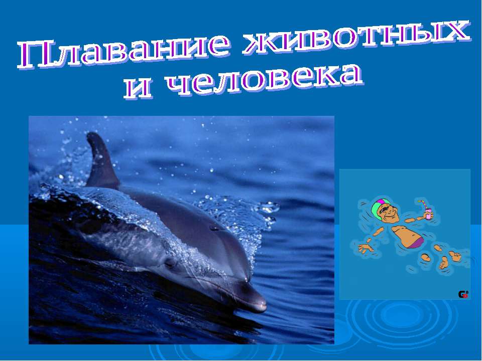 Плавание животных и человека - Скачать презентации бесплатно | Читать или скачать учебники для школы онлайн бесплатно ☑ Школьные учебники school-textbook.com