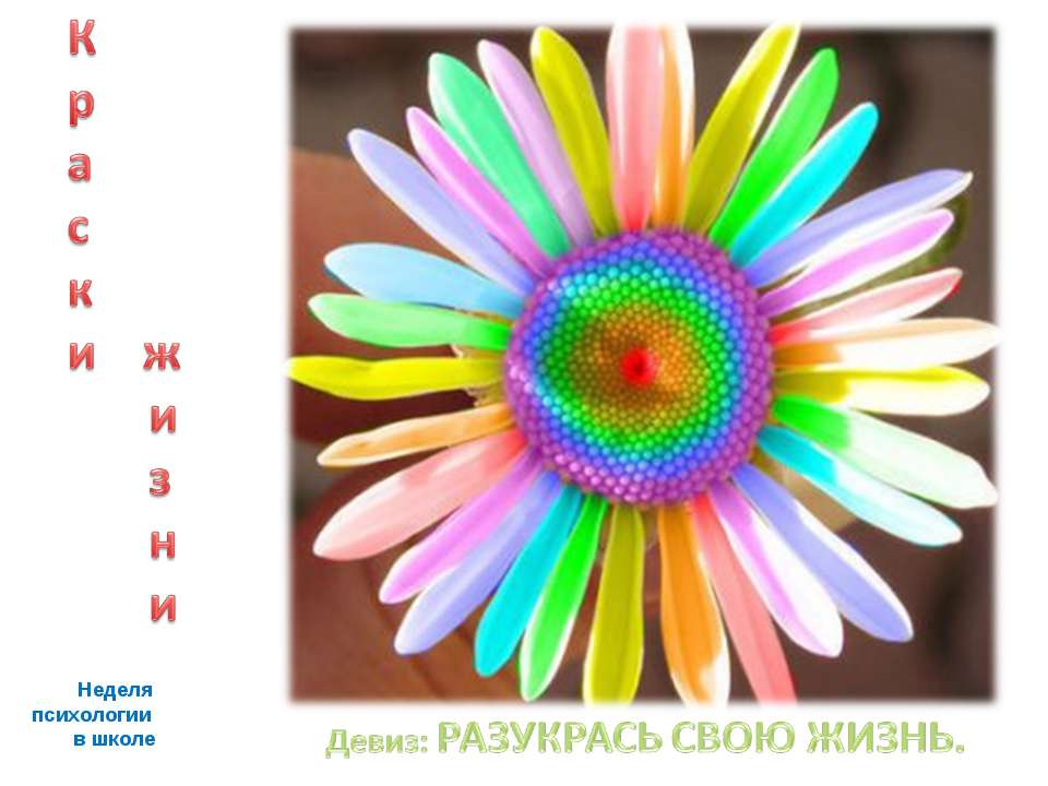 Цветодиагностика - Скачать презентации бесплатно | Читать или скачать учебники для школы онлайн бесплатно ☑ Школьные учебники school-textbook.com