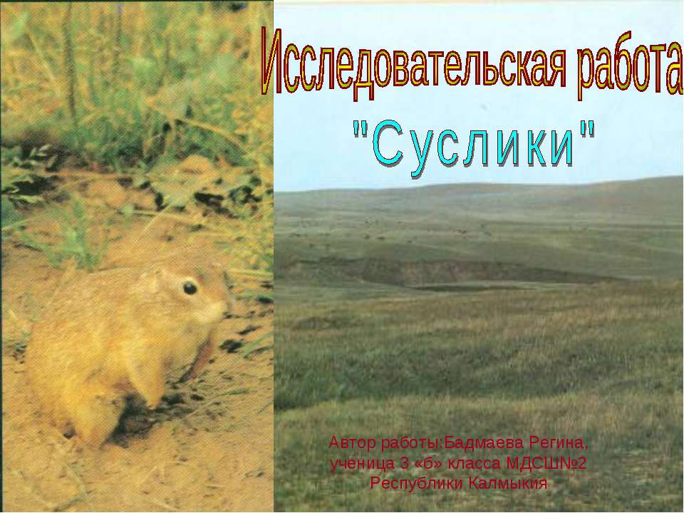 Суслики - Скачать презентации бесплатно | Читать или скачать учебники для школы онлайн бесплатно ☑ Школьные учебники school-textbook.com