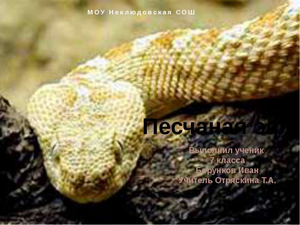 Песчанная ЭФА - Скачать презентации бесплатно | Читать или скачать учебники для школы онлайн бесплатно ☑ Школьные учебники school-textbook.com