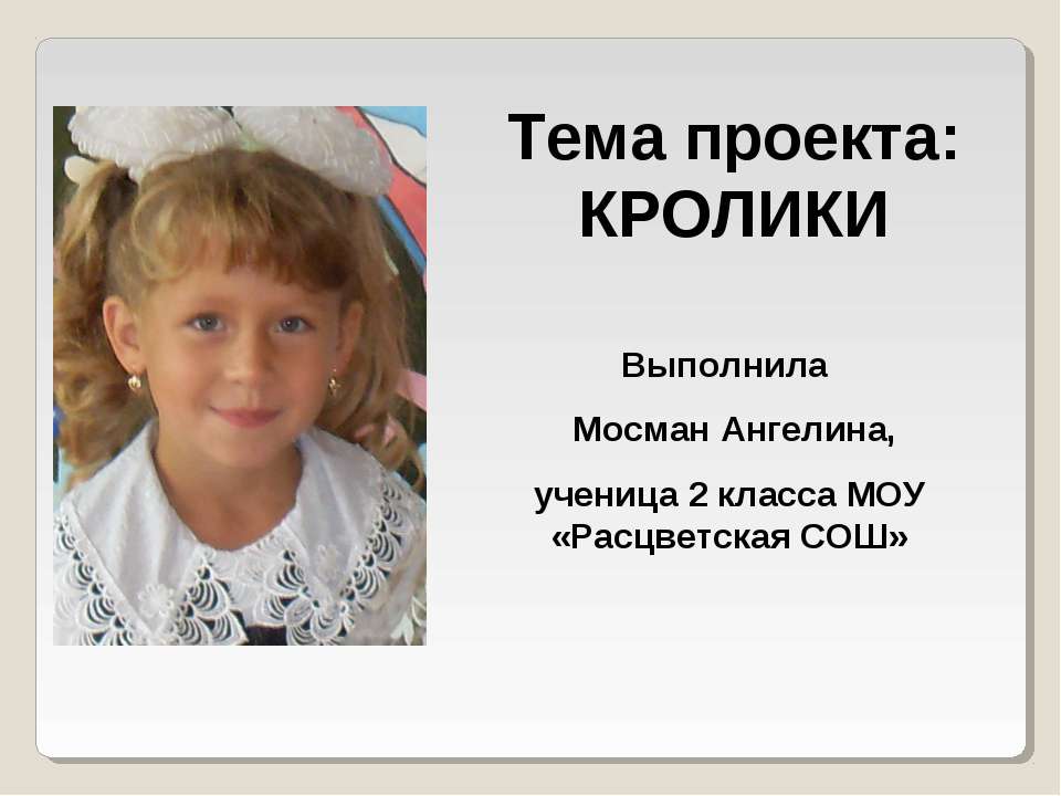 Кролики - Скачать презентации бесплатно | Читать или скачать учебники для школы онлайн бесплатно ☑ Школьные учебники school-textbook.com