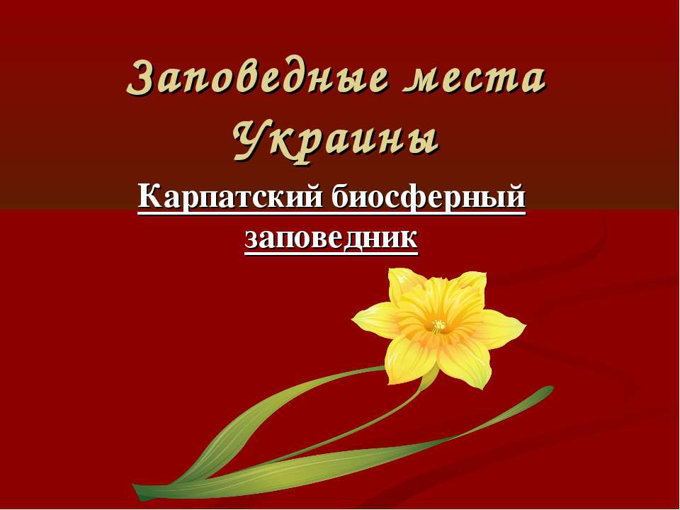 Заповедные места Украины. Карпатский биосферный заповедник - Скачать презентации бесплатно | Читать или скачать учебники для школы онлайн бесплатно ☑ Школьные учебники school-textbook.com