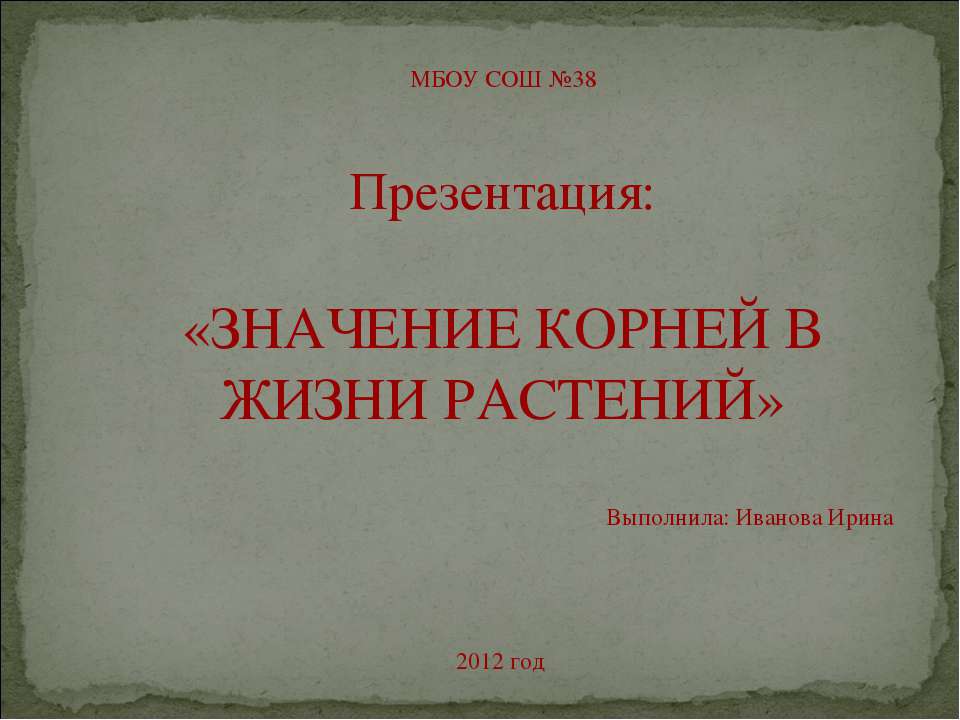 Значение корней в жизни растений - Скачать презентации бесплатно | Читать или скачать учебники для школы онлайн бесплатно ☑ Школьные учебники school-textbook.com