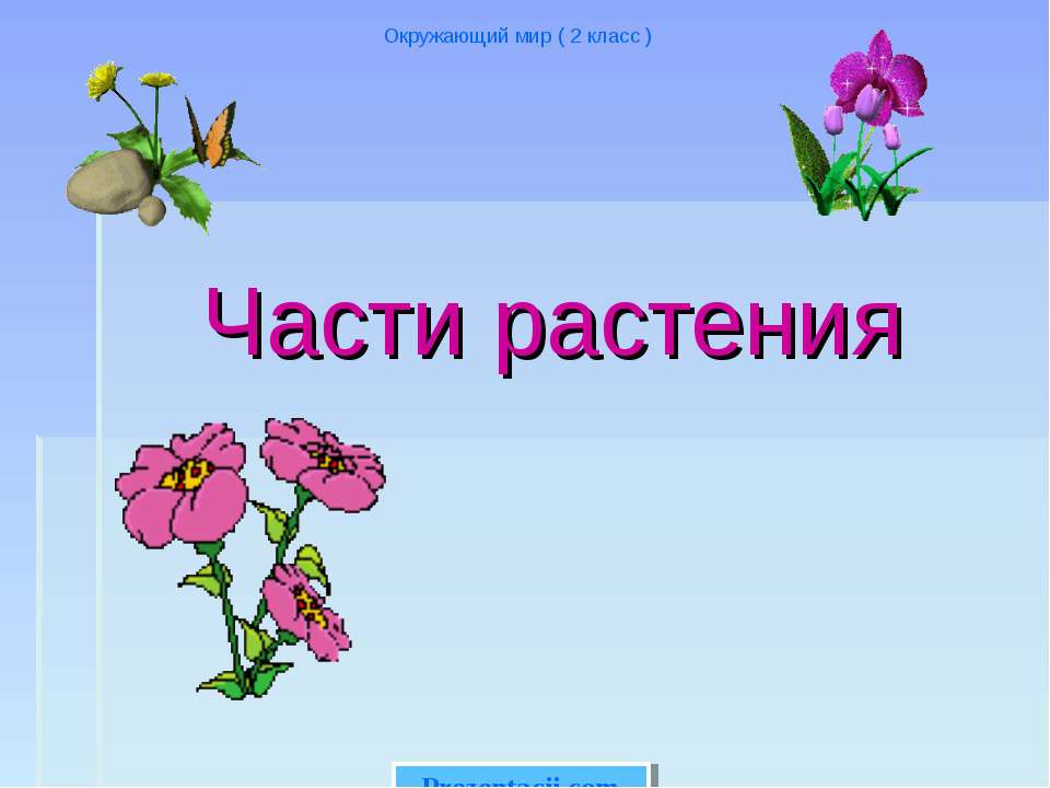 Части растения - Скачать презентации бесплатно | Читать или скачать учебники для школы онлайн бесплатно ☑ Школьные учебники school-textbook.com