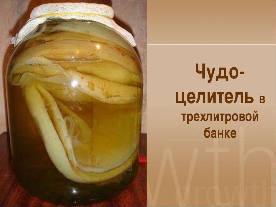 Чудо-целитель в трехлитровой банке - Скачать презентации бесплатно | Читать или скачать учебники для школы онлайн бесплатно ☑ Школьные учебники school-textbook.com