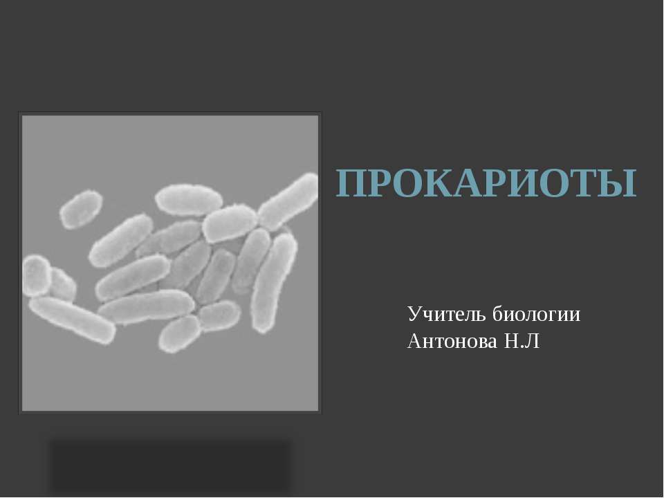 Прокариоты - Скачать презентации бесплатно | Читать или скачать учебники для школы онлайн бесплатно ☑ Школьные учебники school-textbook.com