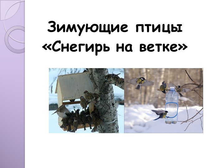 Презентация к занятию по художественно-эстетическому развитию "снегирь на ветке". - Скачать презентации бесплатно | Читать или скачать учебники для школы онлайн бесплатно ☑ Школьные учебники school-textbook.com