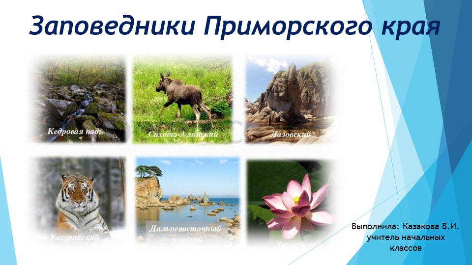 Презентация по окружающему миру на тему "Заповедники Приморского края" (4 класс) - Скачать презентации бесплатно | Читать или скачать учебники для школы онлайн бесплатно ☑ Школьные учебники school-textbook.com
