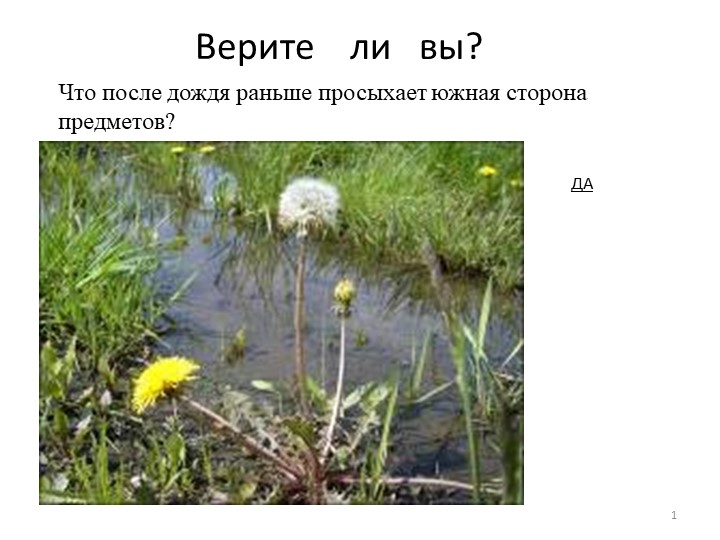 Презентация по окружающему миру "Знаете ли вы" - Скачать презентации бесплатно ☑ Презентации по предметам на school-textbook.com