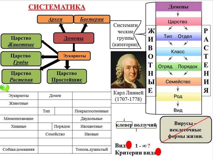 Логический опорный конспект по биологии на тему "Классификация организмов. Систематика" - Скачать презентации бесплатно | Читать или скачать учебники для школы онлайн бесплатно ☑ Школьные учебники school-textbook.com