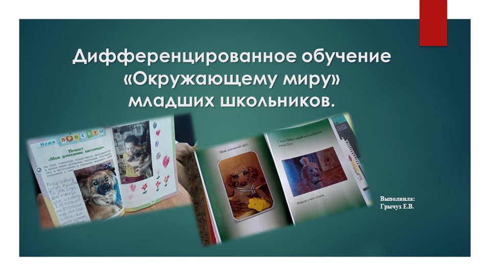 Презентация на тему "Дифференцированное обучение «Окружающему миру» младших школьников" - Скачать презентации бесплатно | Читать или скачать учебники для школы онлайн бесплатно ☑ Школьные учебники school-textbook.com