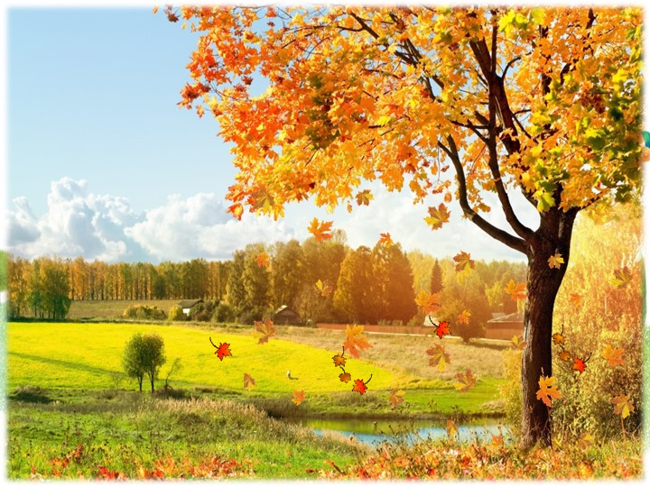 Презентация. Родительское собрание.Основные задачи воспитания и развития детей старшей группы.  - Скачать презентации бесплатно | Читать или скачать учебники для школы онлайн бесплатно ☑ Школьные учебники school-textbook.com