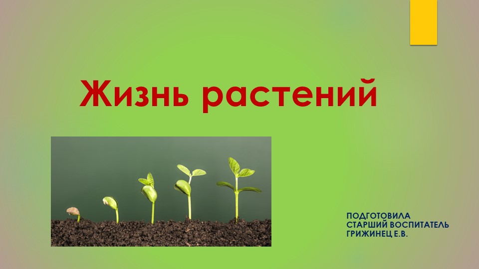 На Земле невозможно представить жизнь без растений. Для чего нужны растения и как появляются -поможет рассказать об этом презентация "Жизнь растений" - Скачать презентации бесплатно | Читать или скачать учебники для школы онлайн бесплатно ☑ Школьные учебники school-textbook.com