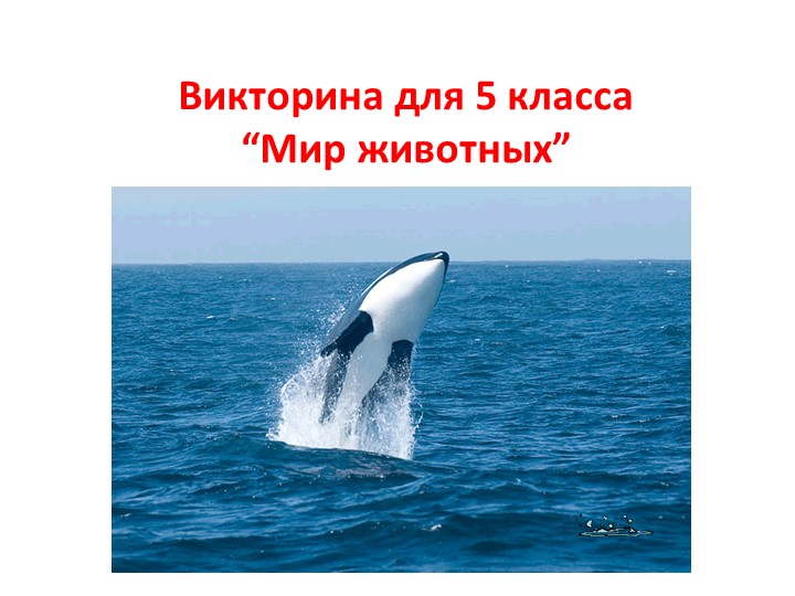 Викторина для 5 класса “Мир животных”  - Скачать презентации бесплатно | Читать или скачать учебники для школы онлайн бесплатно ☑ Школьные учебники school-textbook.com