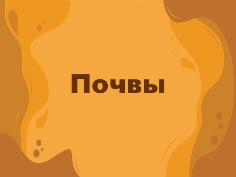 Презентация "Почвы" 8 класс - Скачать презентации бесплатно | Читать или скачать учебники для школы онлайн бесплатно ☑ Школьные учебники school-textbook.com