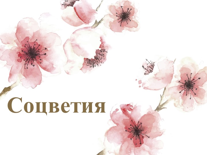 Презентация по теме " Соцветия" - Скачать презентации бесплатно | Читать или скачать учебники для школы онлайн бесплатно ☑ Школьные учебники school-textbook.com