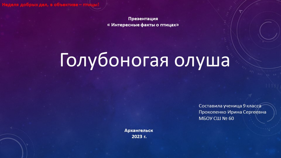 Презентация "Интересные факты о птицах" "Голубая олуша" - Скачать презентации бесплатно | Читать или скачать учебники для школы онлайн бесплатно ☑ Школьные учебники school-textbook.com