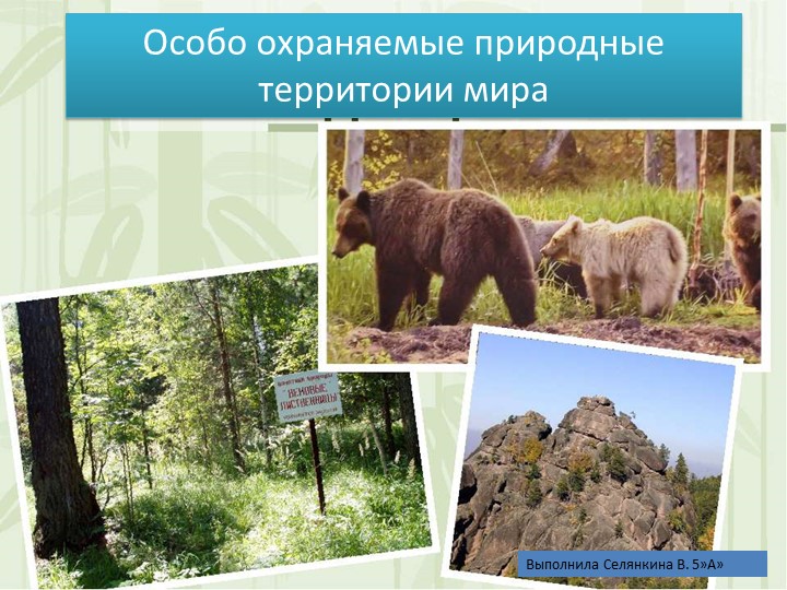 Особоохраняемые территории мира презентация - Скачать презентации бесплатно | Читать или скачать учебники для школы онлайн бесплатно ☑ Школьные учебники school-textbook.com