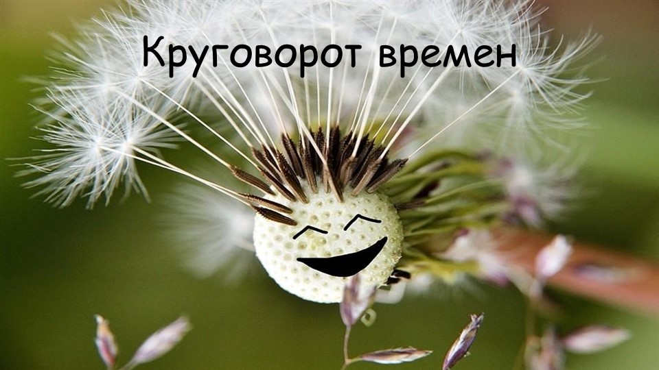 Презентация "Мыслим, думаем, созерцаем" - Скачать презентации бесплатно | Читать или скачать учебники для школы онлайн бесплатно ☑ Школьные учебники school-textbook.com