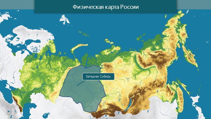 Презентация к уроку "Степи и лесостепи" - Скачать презентации бесплатно | Читать или скачать учебники для школы онлайн бесплатно ☑ Школьные учебники school-textbook.com