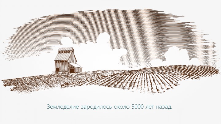 Презентация к уроку "Почва — основа сельского хозяйства"  - Скачать презентации бесплатно | Читать или скачать учебники для школы онлайн бесплатно ☑ Школьные учебники school-textbook.com