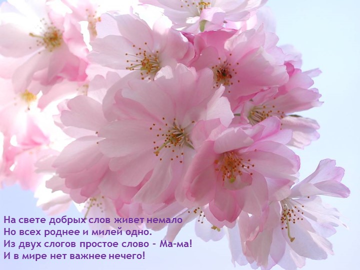 Презентация "Самая любимая - мамочка моя"  - Скачать презентации бесплатно | Читать или скачать учебники для школы онлайн бесплатно ☑ Школьные учебники school-textbook.com