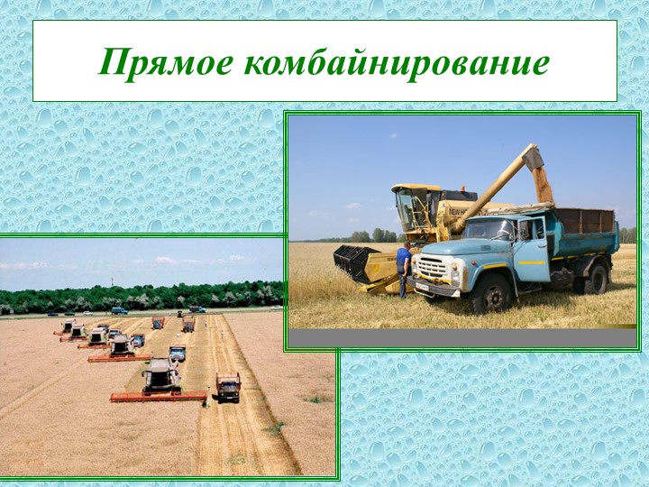 Презентация "Способы уборки зерновых культур"  - Скачать презентации бесплатно | Читать или скачать учебники для школы онлайн бесплатно ☑ Школьные учебники school-textbook.com