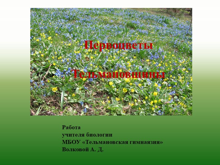 Презентация по биологии на тему " Первоцветам быть!" 8 класс - Скачать презентации бесплатно | Читать или скачать учебники для школы онлайн бесплатно ☑ Школьные учебники school-textbook.com