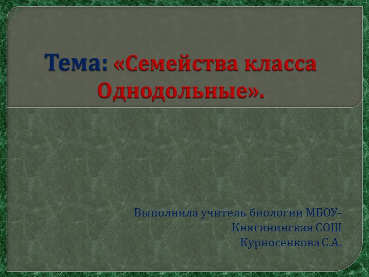 Презентация на тему "Однодольные" 6 класс - Скачать презентации бесплатно | Читать или скачать учебники для школы онлайн бесплатно ☑ Школьные учебники school-textbook.com