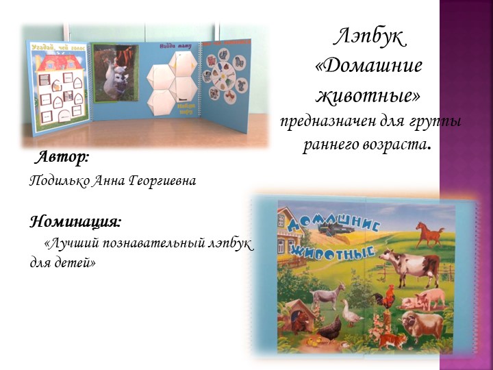 Презентация лепбука "Домашние животные"  - Скачать презентации бесплатно | Читать или скачать учебники для школы онлайн бесплатно ☑ Школьные учебники school-textbook.com