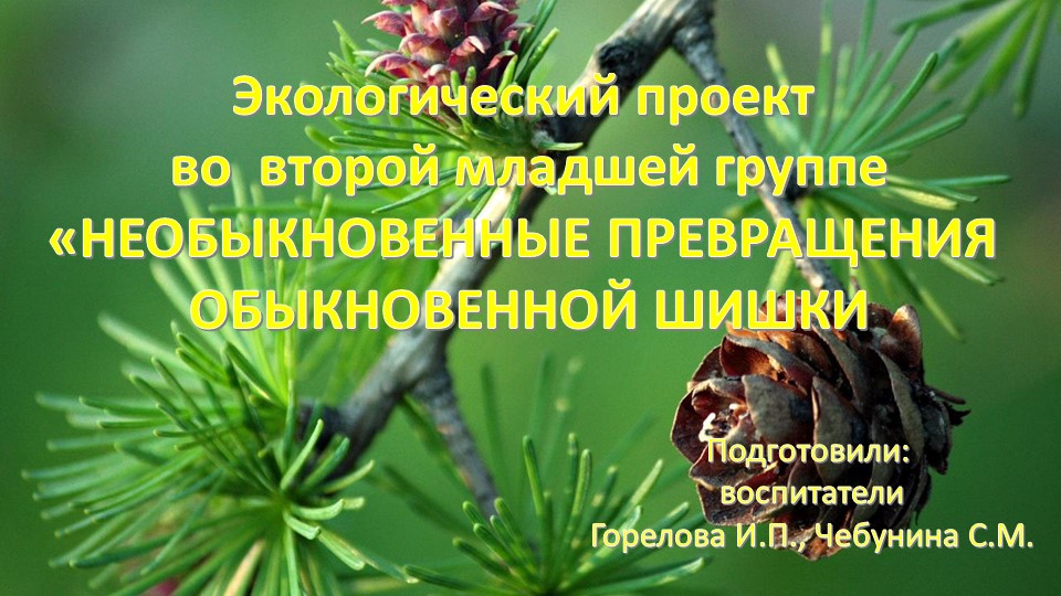 Презентация к экологическому проекту "Сосновая шишка" (вторая младшая группа)  - Скачать презентации бесплатно | Читать или скачать учебники для школы онлайн бесплатно ☑ Школьные учебники school-textbook.com