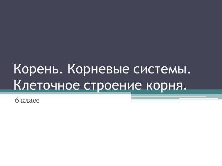 Презентация к уроку 6 класс биология Корень - Скачать презентации бесплатно | Читать или скачать учебники для школы онлайн бесплатно ☑ Школьные учебники school-textbook.com