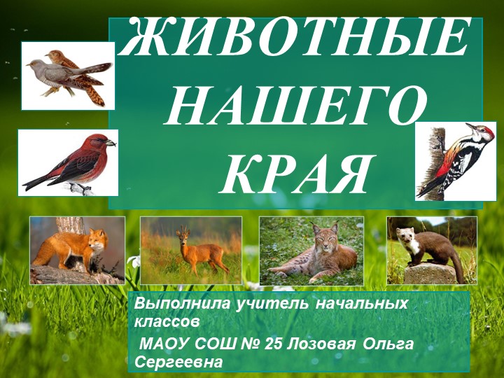 Презентация "Животные нашего края"  - Скачать презентации бесплатно | Читать или скачать учебники для школы онлайн бесплатно ☑ Школьные учебники school-textbook.com
