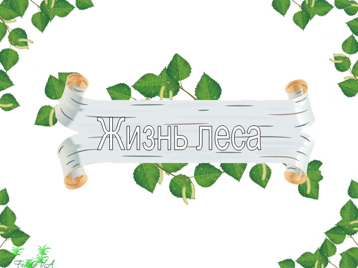 Презентация к уроку по окружающему миру "Жизнь леса" (4 класс)  - Скачать презентации бесплатно | Читать или скачать учебники для школы онлайн бесплатно ☑ Школьные учебники school-textbook.com