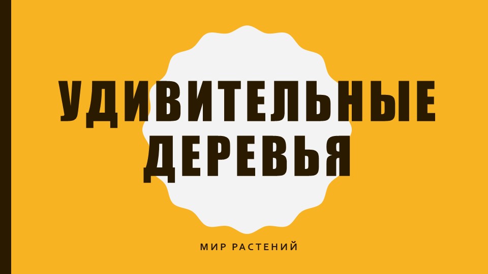 Презентация мир растений "удивительные деревья"  - Скачать презентации бесплатно | Читать или скачать учебники для школы онлайн бесплатно ☑ Школьные учебники school-textbook.com