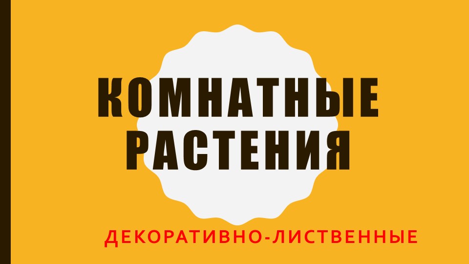 Презентация "Декоративно-лиственные комнатные растения" - Скачать презентации бесплатно | Читать или скачать учебники для школы онлайн бесплатно ☑ Школьные учебники school-textbook.com