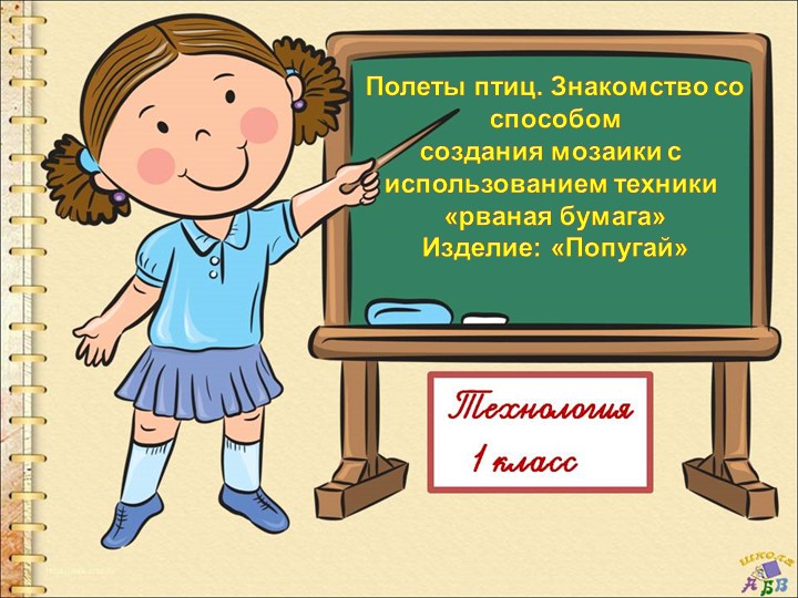 Презентация по окружающему миру Полеты птиц Попугай  - Скачать презентации бесплатно | Читать или скачать учебники для школы онлайн бесплатно ☑ Школьные учебники school-textbook.com